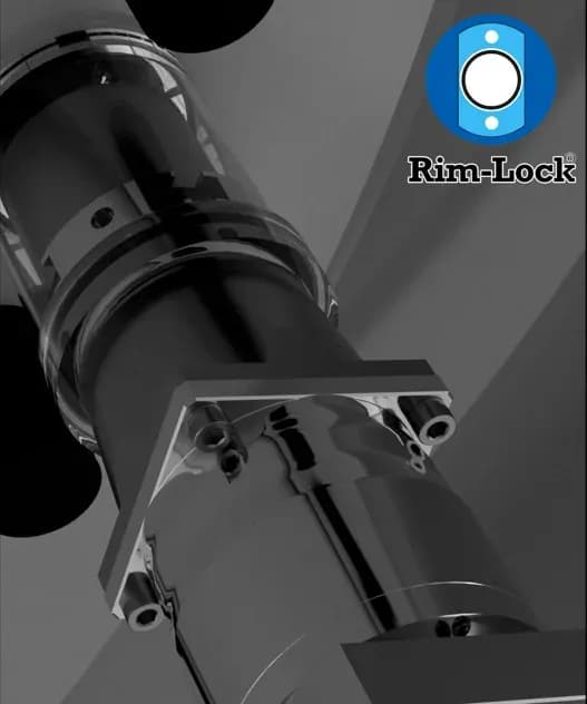 Render of a Rim-Lock® retainer on the nave plate